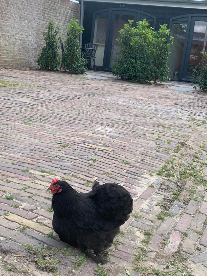 Het Dijkje Utrecht Leilighet Eksteriør bilde